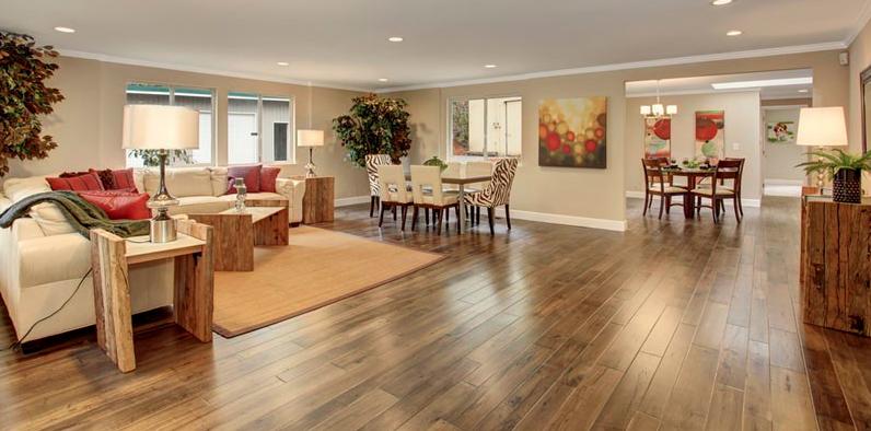 Photo of Ancrum Floor Sanding