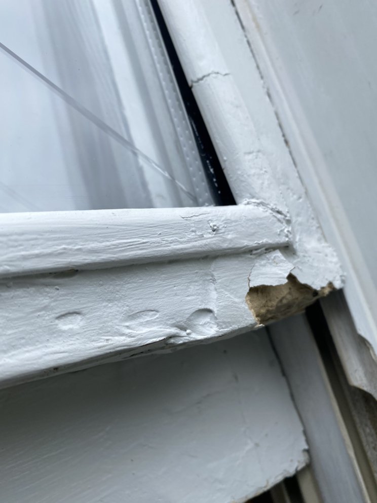 Photo of Window Guyz Restorations Ltd.