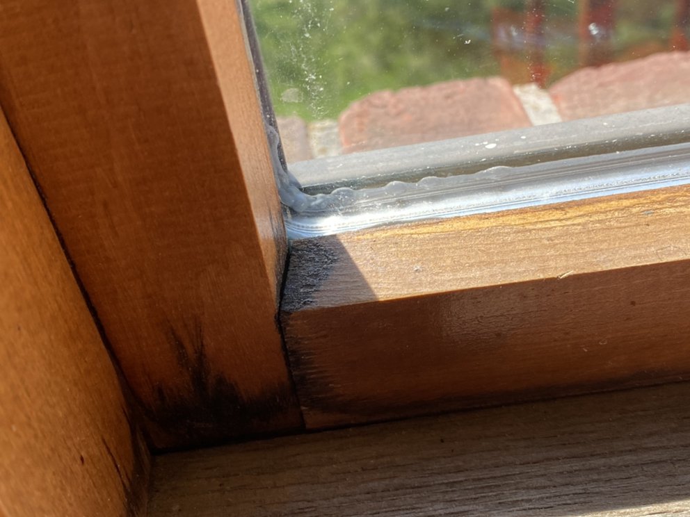 Photo of Window Guyz Restorations Ltd.