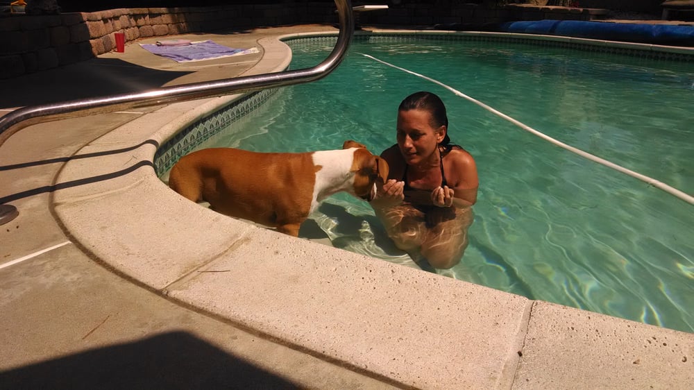 Photo of Allen's Pool Service