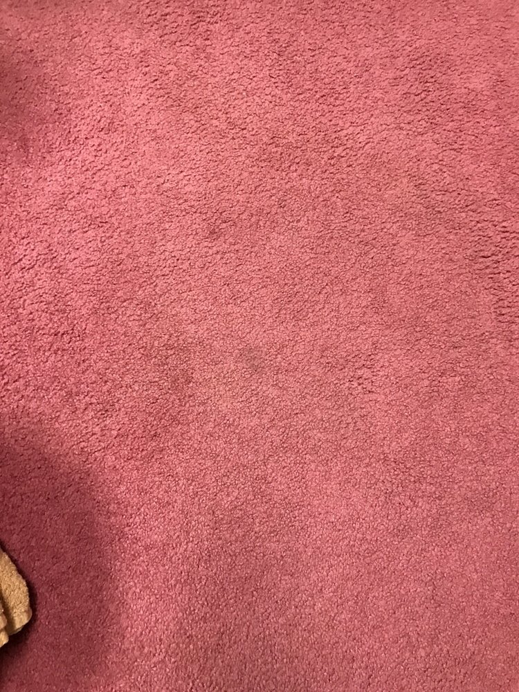 Photo of Sure Dry