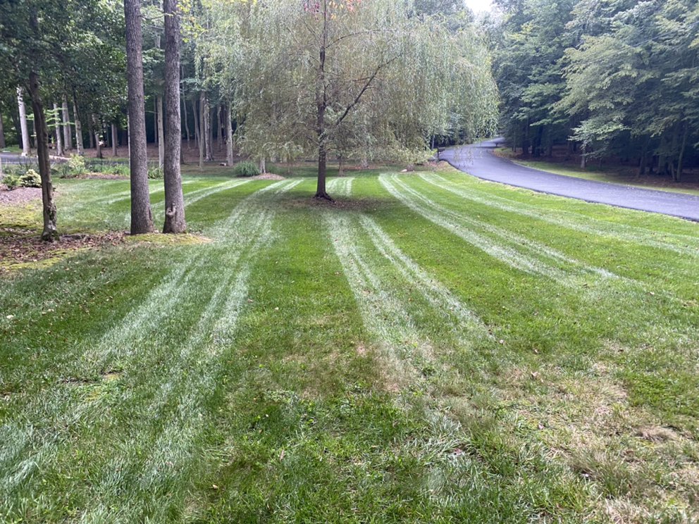 Photo of Midway Landscaping and Powerwash