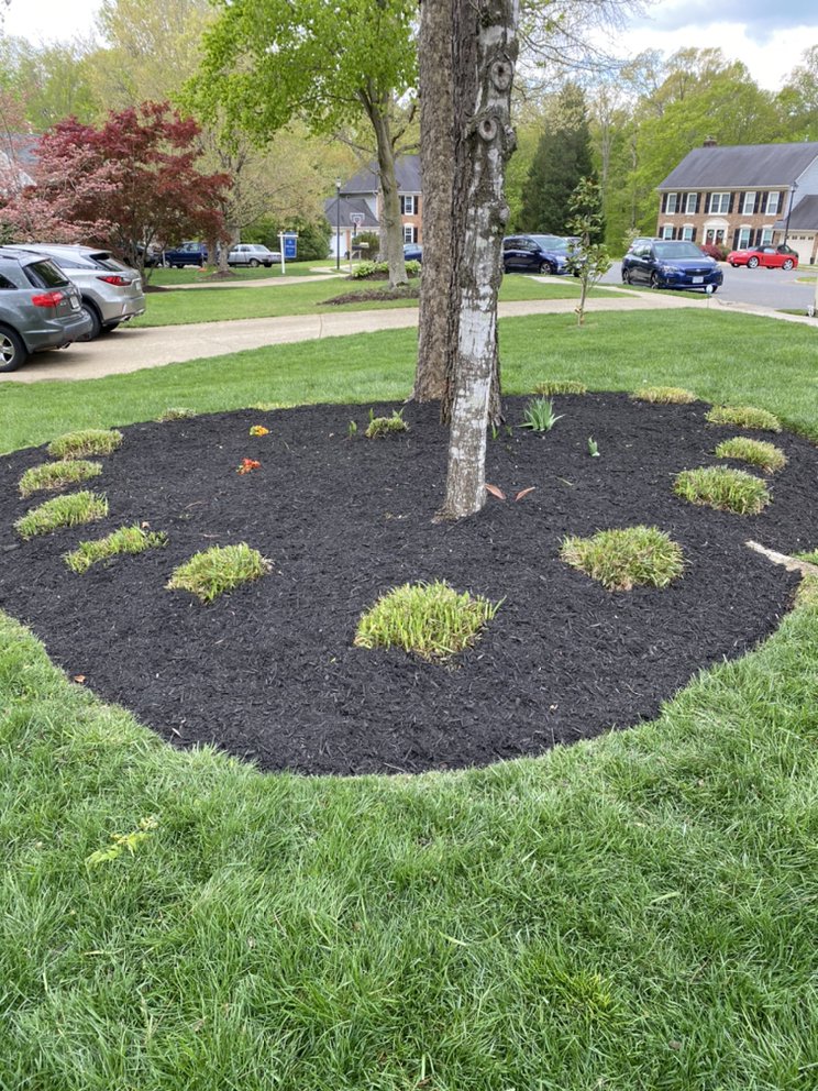 Photo of Midway Landscaping and Powerwash