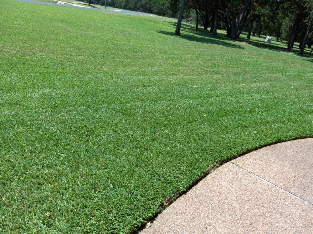Photo of Goat Lawn Services