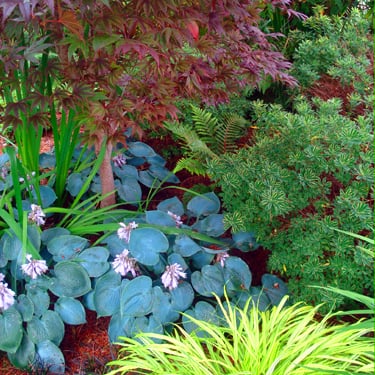 Photo of ANR Landscape Design
