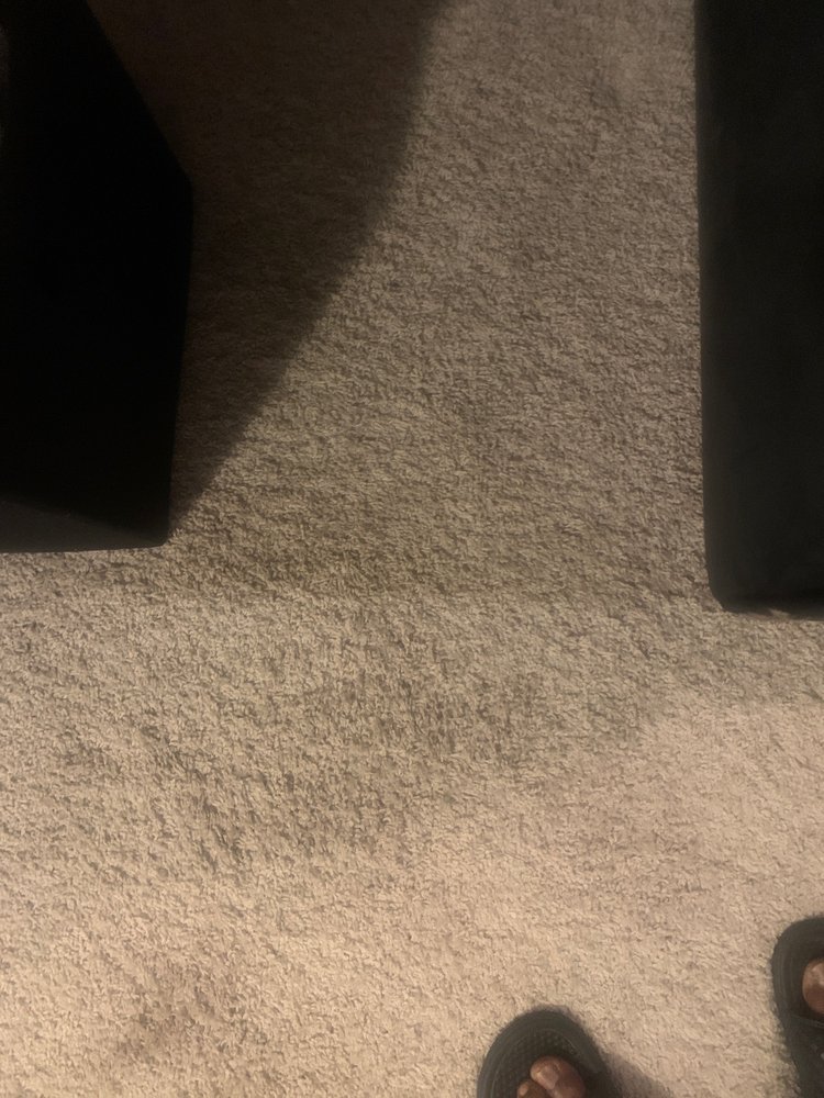 Photo of Mr Steam Carpet Cleaners