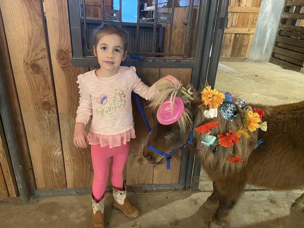 Photo of Pine Dell Horse Farm