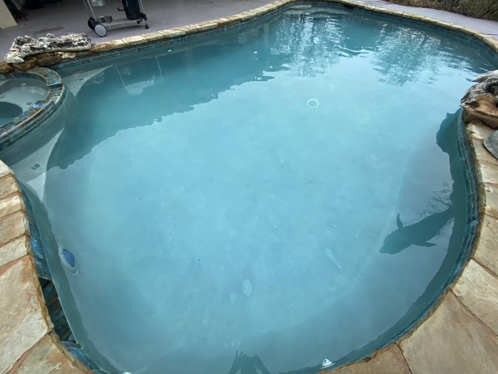Photo of Pool Shark Services