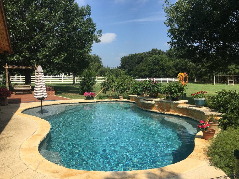 Photo of Pool Shark Services