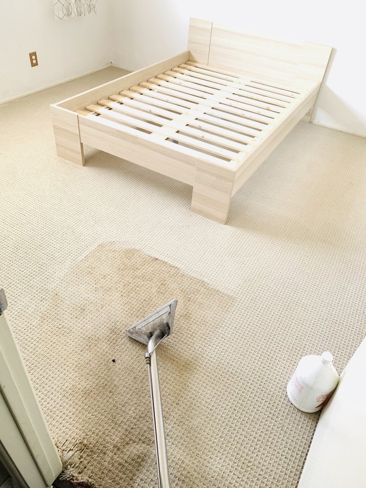 Photo of Carpet Cleaners Los Angeles