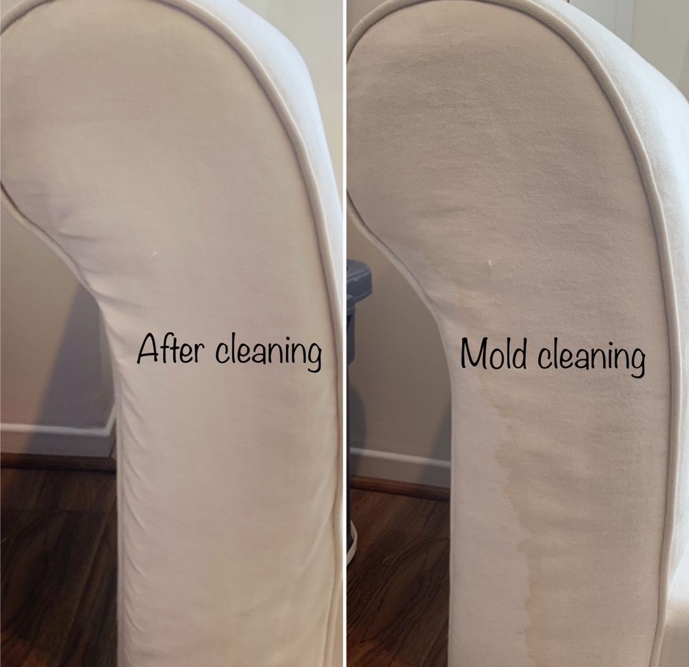 Photo of Carpet Cleaners Los Angeles