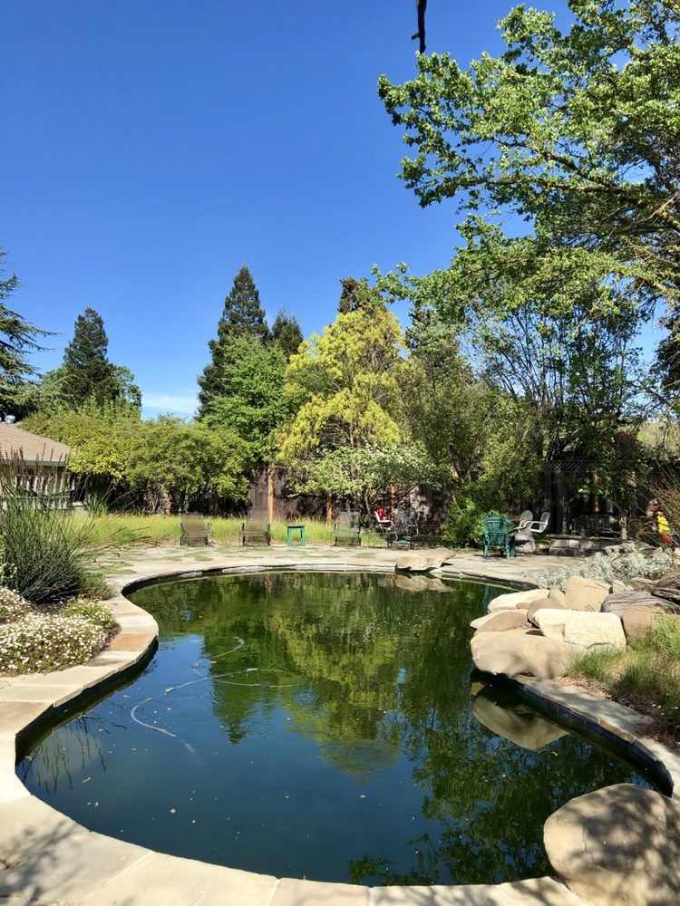 Photo of Summit Pool & Spa
