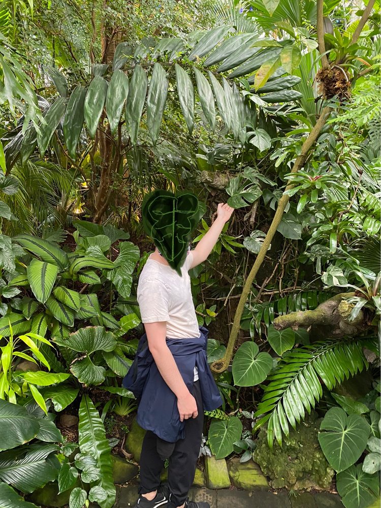 Photo of Conservatory of Flowers