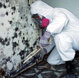 Photo of Maryland Home Restoration Experts