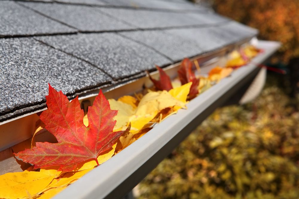 Photo of All Seasons Gutter Cleaning Services