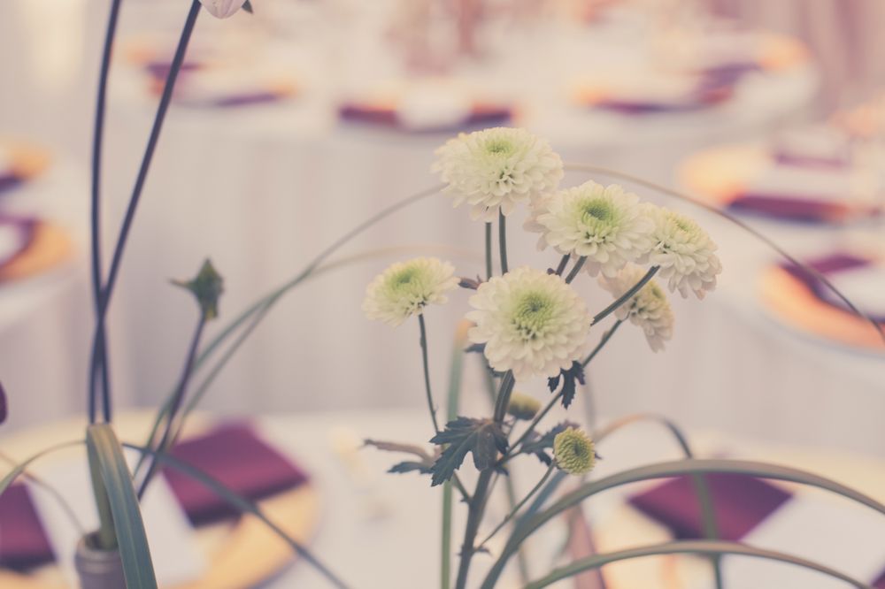 Photo of Richelle Juniper Photography