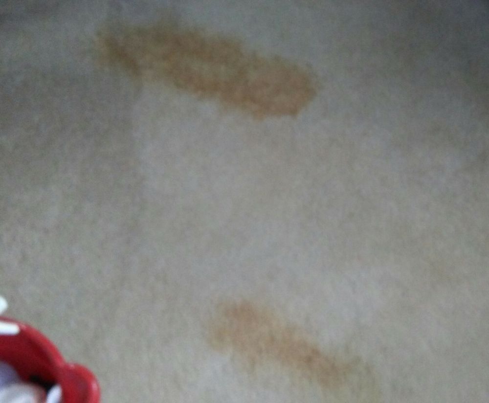 Photo of PS Cleaning Service