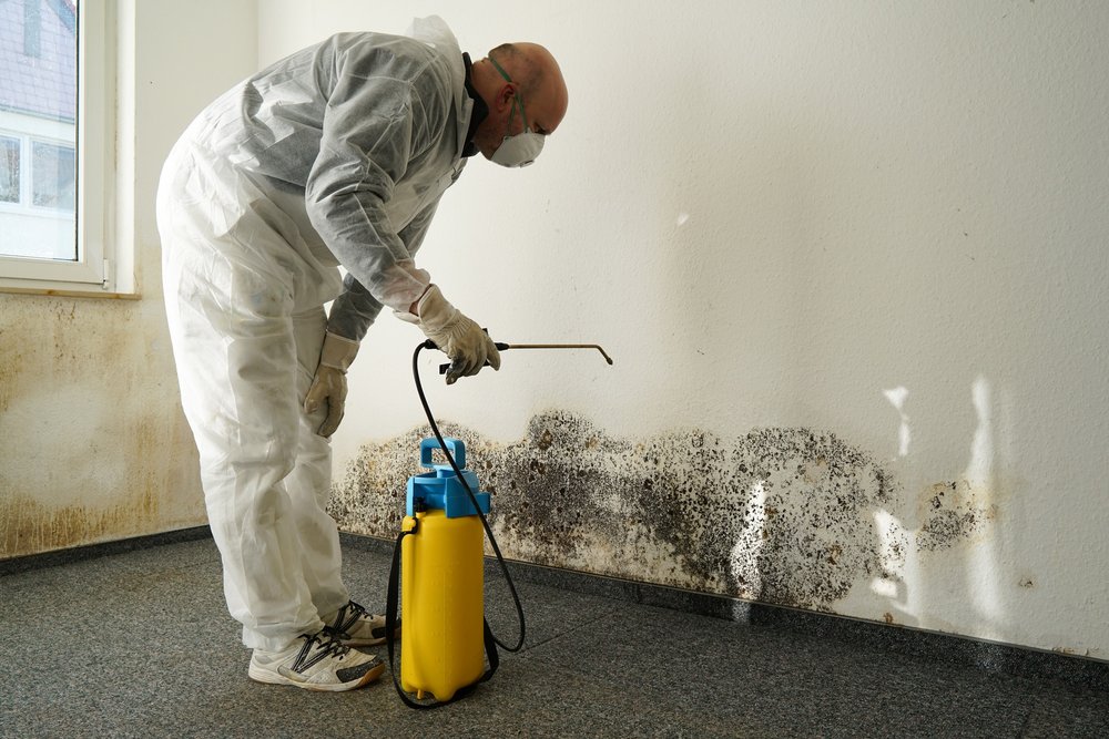 Photo of Water Damage & Restoration Austin