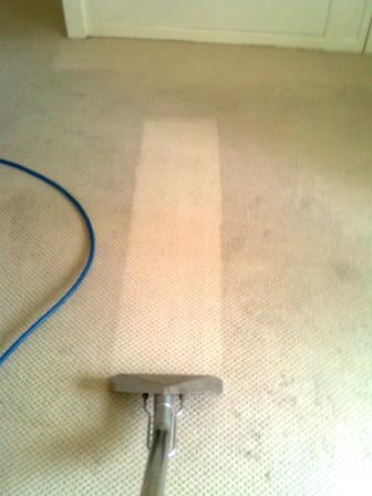 Photo of Dragon Cleaning Services