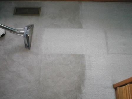 Photo of Dragon Cleaning Services