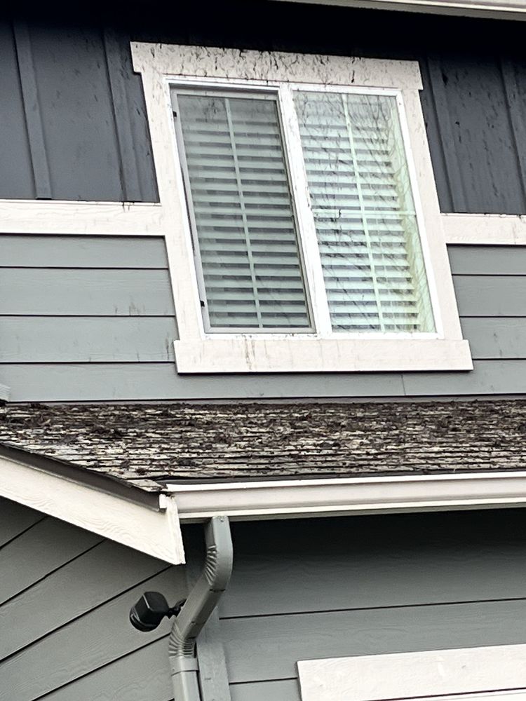 Photo of Rainier Window and Gutter Cleaning