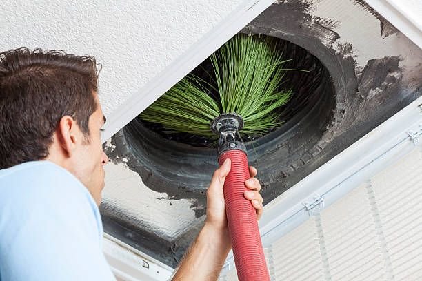 Photo of Organic Home Service