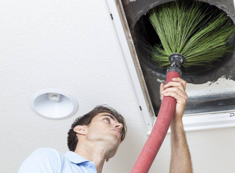 Photo of Organic Home Service