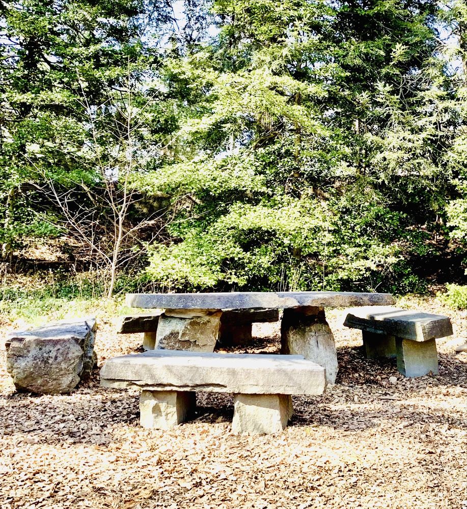 Photo of Reeves-Reed Arboretum