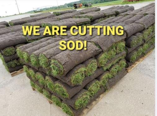 Photo of Briggs Brothers Sod Farms