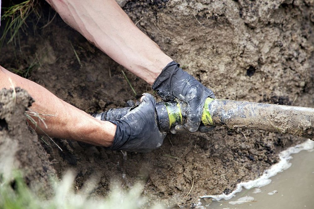 Photo of All Star Plumbing & Restoration