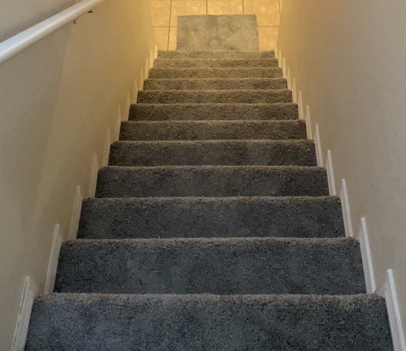 Photo of Reynosa Carpet