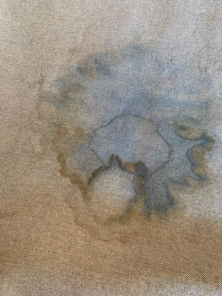 Photo of Dave's Magikist Carpet & Rug Cleaners