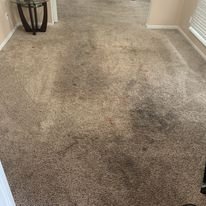 Photo of First Coast Carpet And In-Home Services