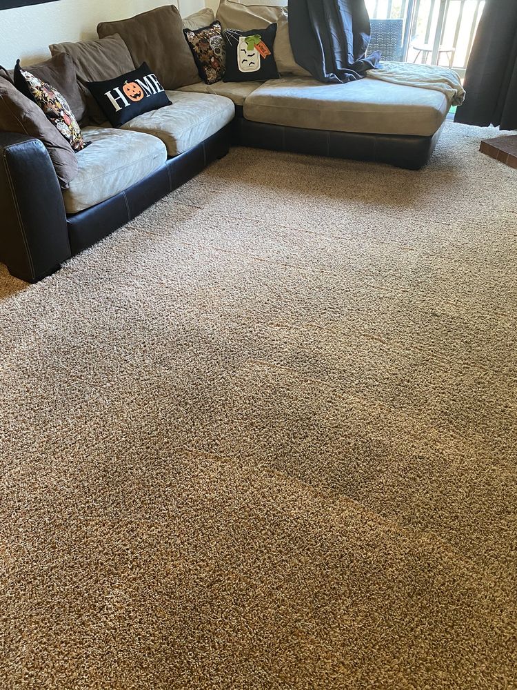 Photo of Dry & Organic Carpet Cleaning