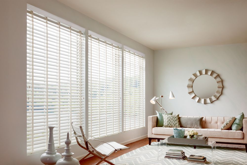 Photo of The Blinds Side