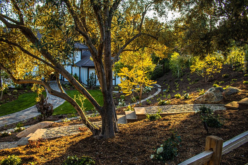Photo of RJ Landscape Construction