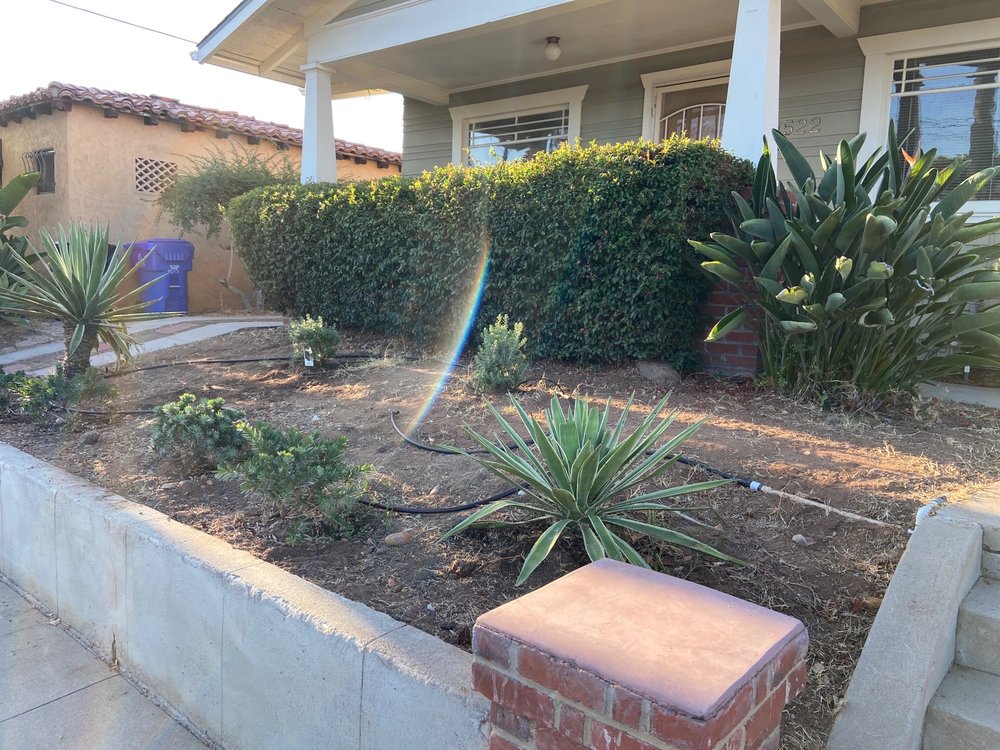 Photo of Inclusive Gardening