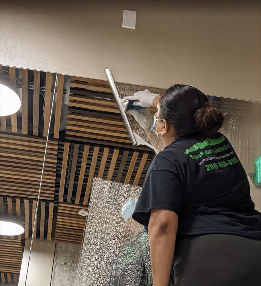 Photo of Squeaky Green Janitorial Services