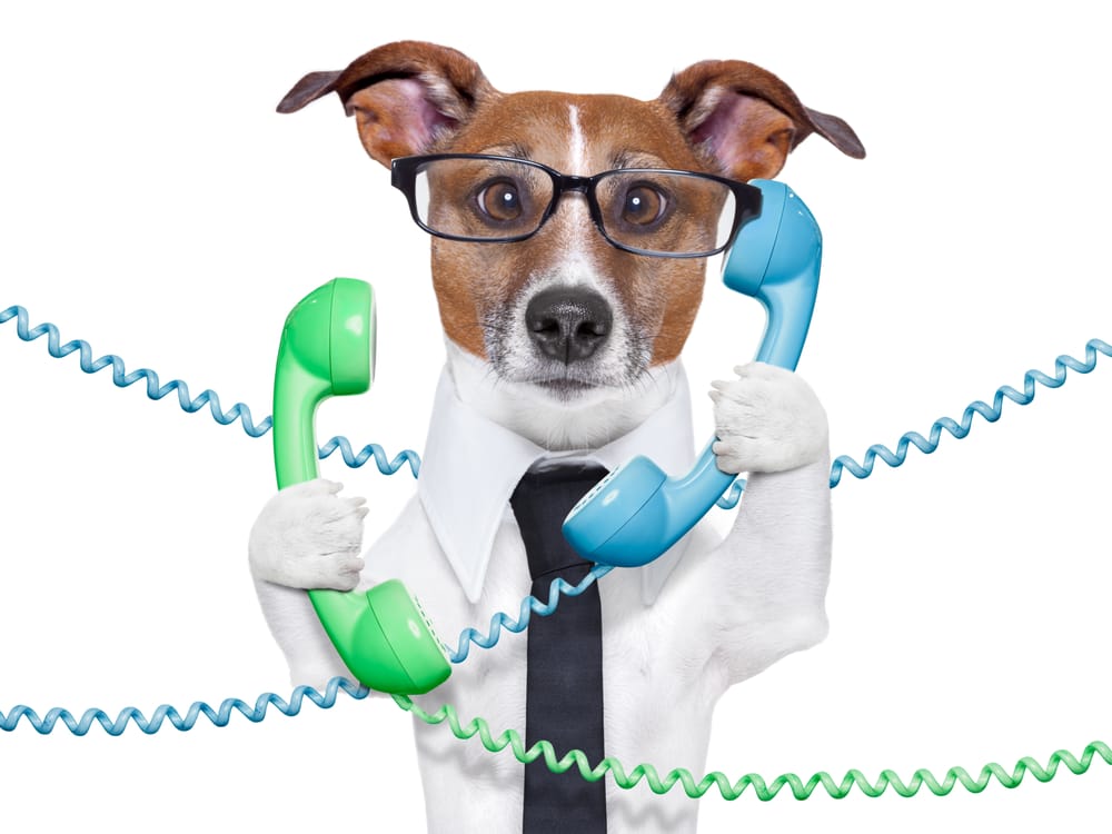 Photo of On Hold Marketing Works