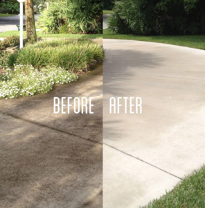 Photo of Plushed Pressure Washing Company