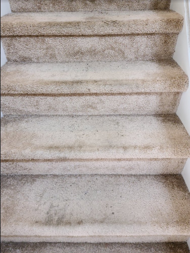 Photo of Complete Carpet Care