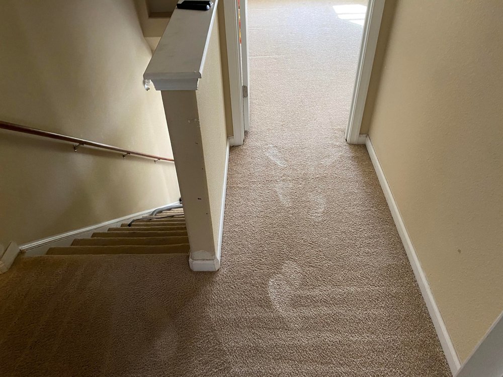 Photo of Complete Carpet Care