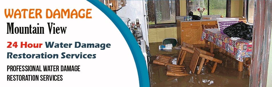 Photo of TCWRC Water Damage Mountain View