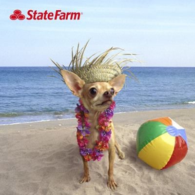 Photo of Elanit Hasas - State Farm Insurance Agent