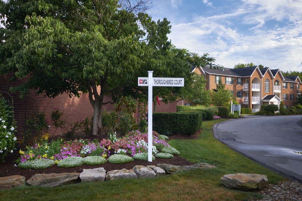 Photo of Devlin's Pointe