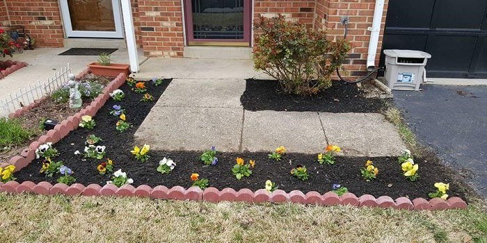 Photo of Baez Landscaping