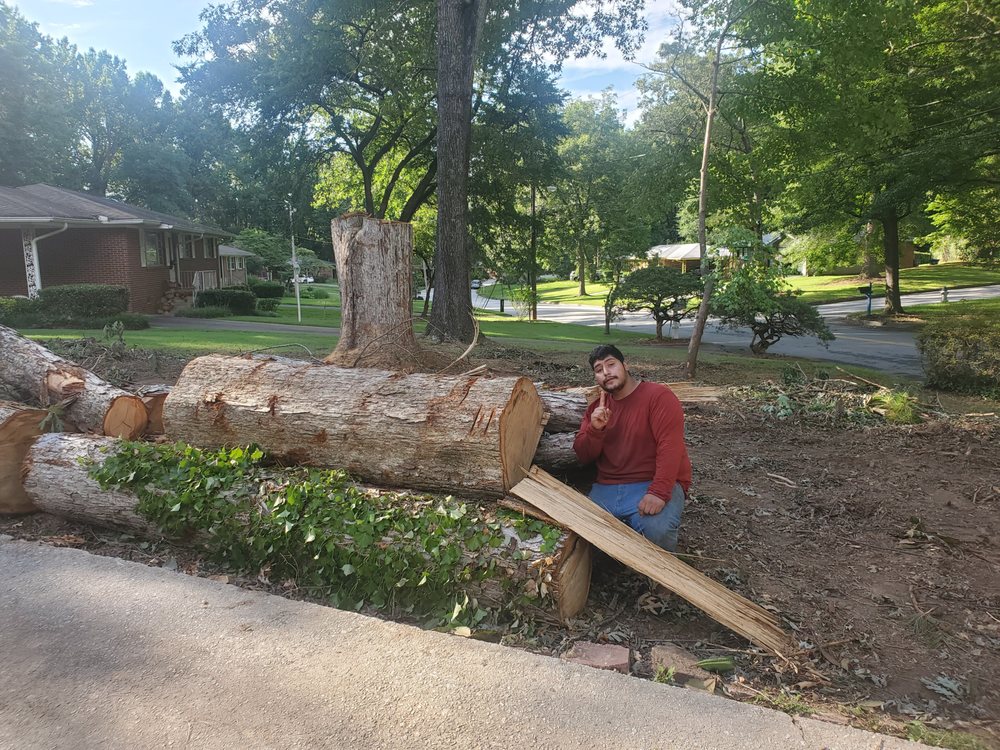 Photo of Tree Cutters of America
