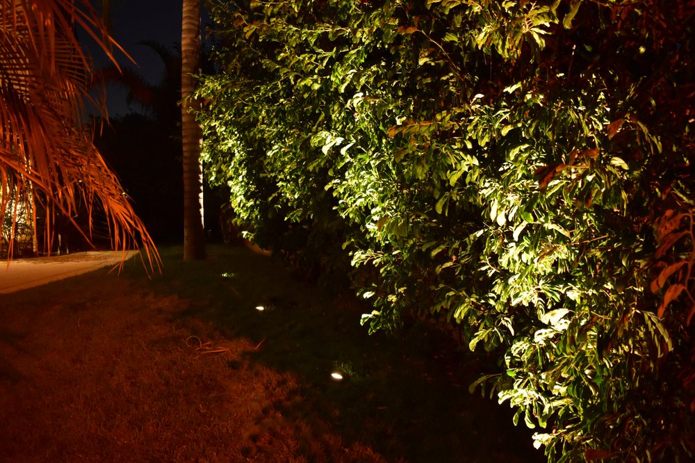Photo of Specialty Lights by HIS
