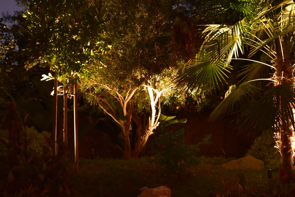 Photo of Specialty Lights by HIS