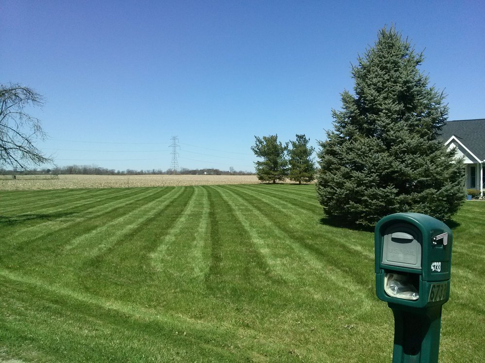 Photo of OneLove Lawn